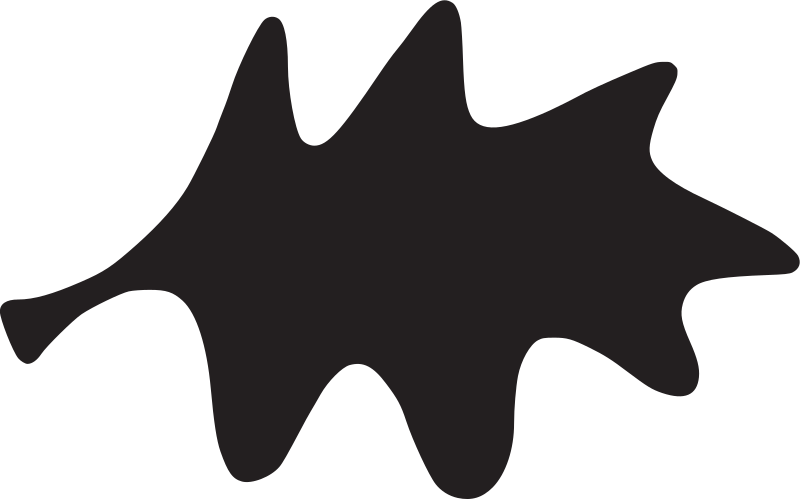 单叶投影 PNG