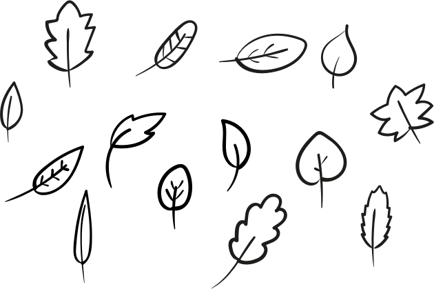 枝叶投影 PNG